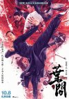 Image IP Man: El maestro del kung fu